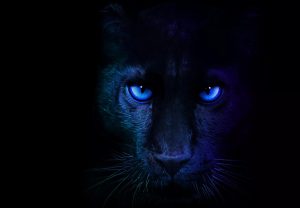 Intel julkaisee Core Ultra Series 3 -prosessorit virallisesti CES-messuilla (Panther Lake)